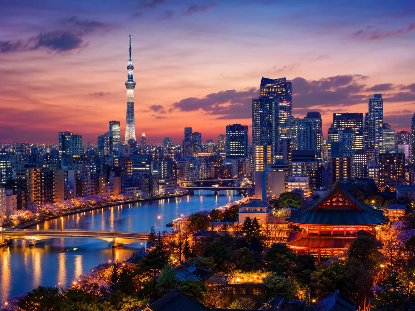 Economy flights to Tokyo Haneda Airport